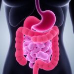How to Improve Gut Health Naturally: A Comprehensive Guide with Product Recommendations