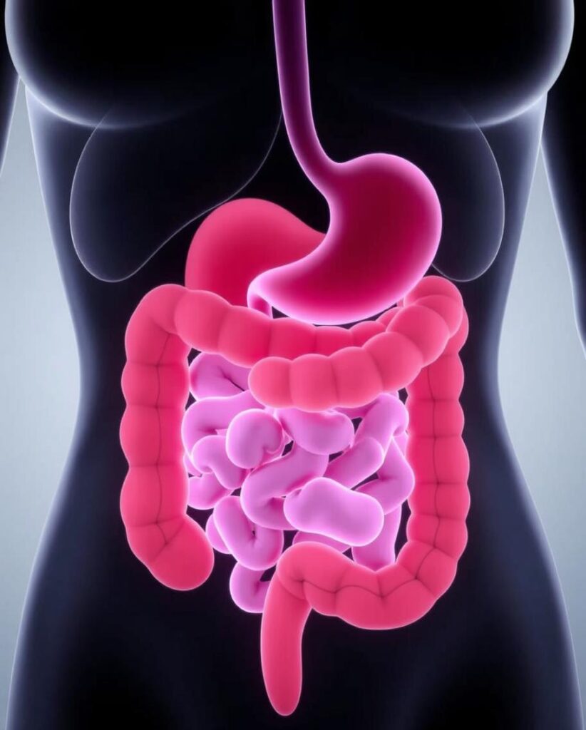 How to Improve Gut Health Naturally: A Comprehensive Guide with Product Recommendations